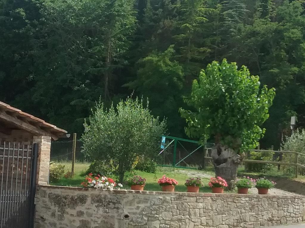 Le Piazze Siena