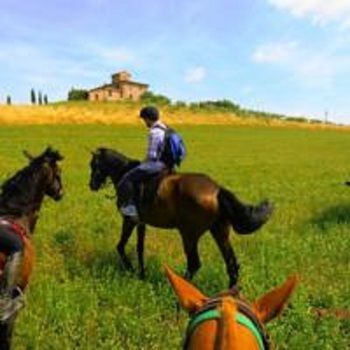 Agroturismo Le Piazze